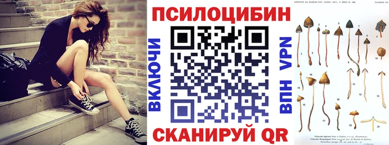 где продают наркотики  Волхов  Псилоцибиновые грибы Cubensis 